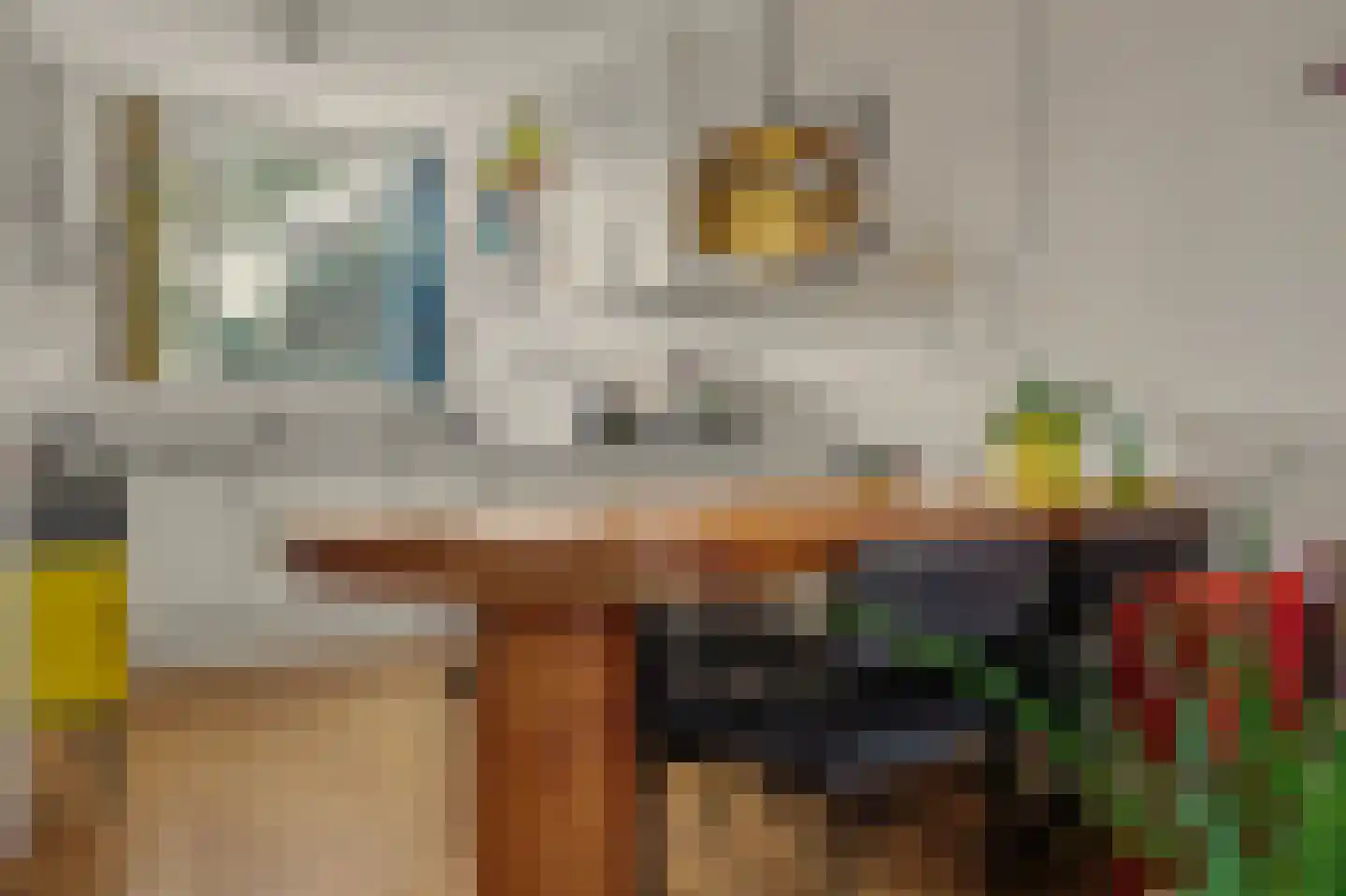 De Schutse 15 Hendrik-Ido-Ambacht thumbnail 19