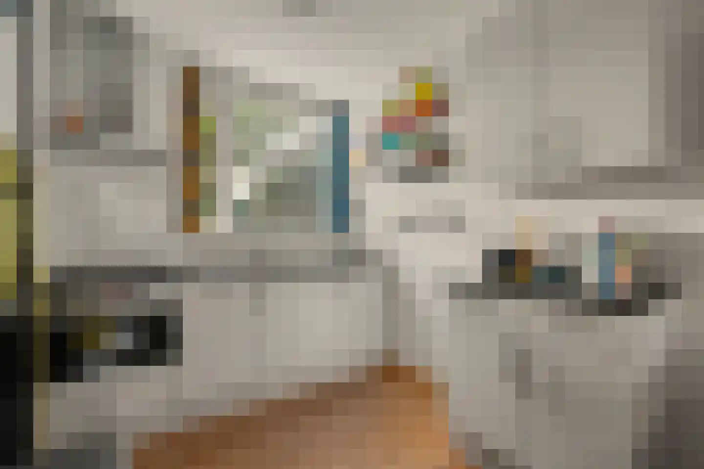 De Schutse 15 Hendrik-Ido-Ambacht thumbnail 21