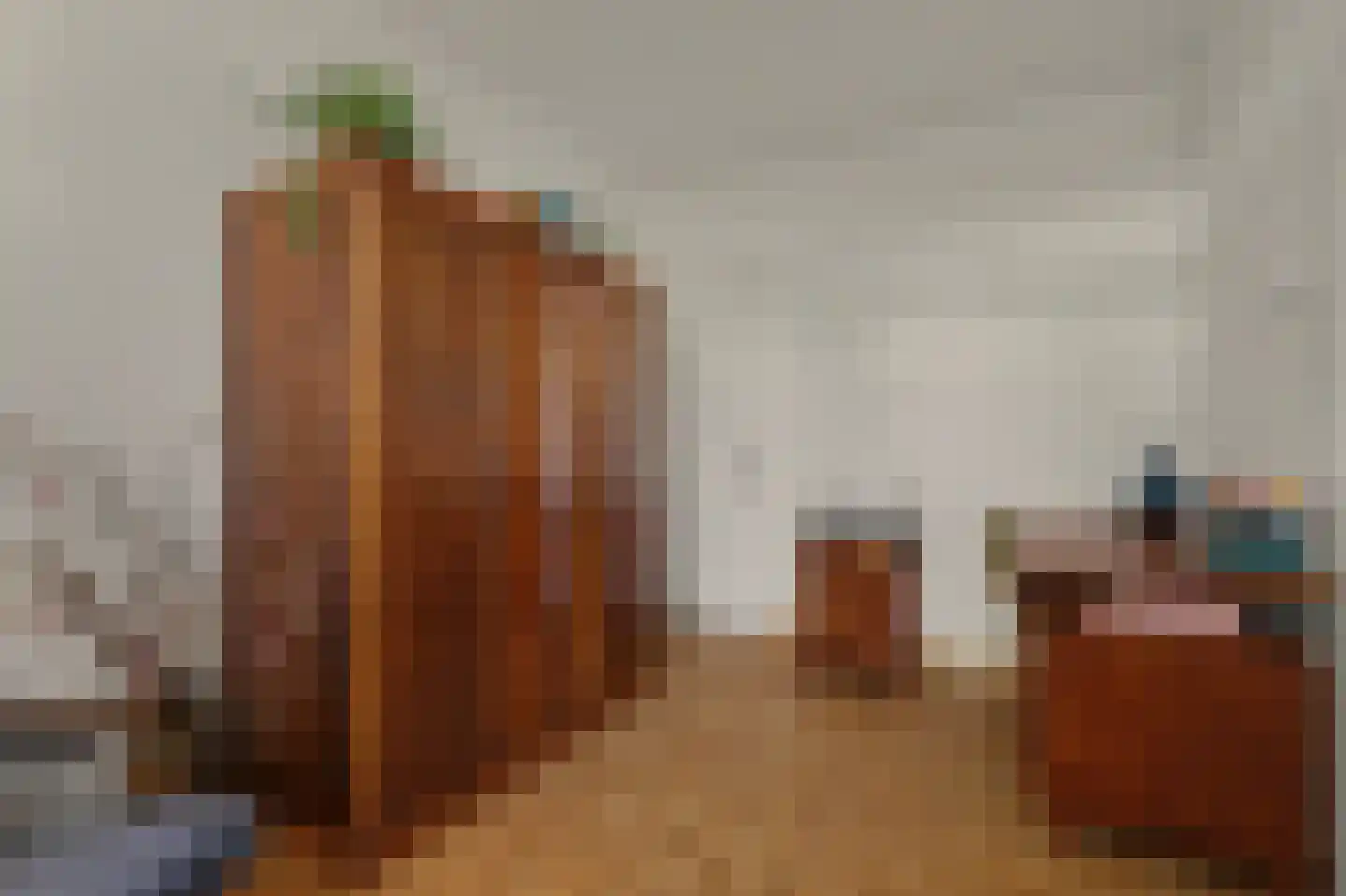 De Schutse 15 Hendrik-Ido-Ambacht thumbnail 26