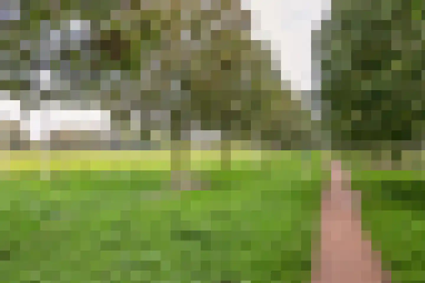 De Schutse 15 Hendrik-Ido-Ambacht thumbnail 39