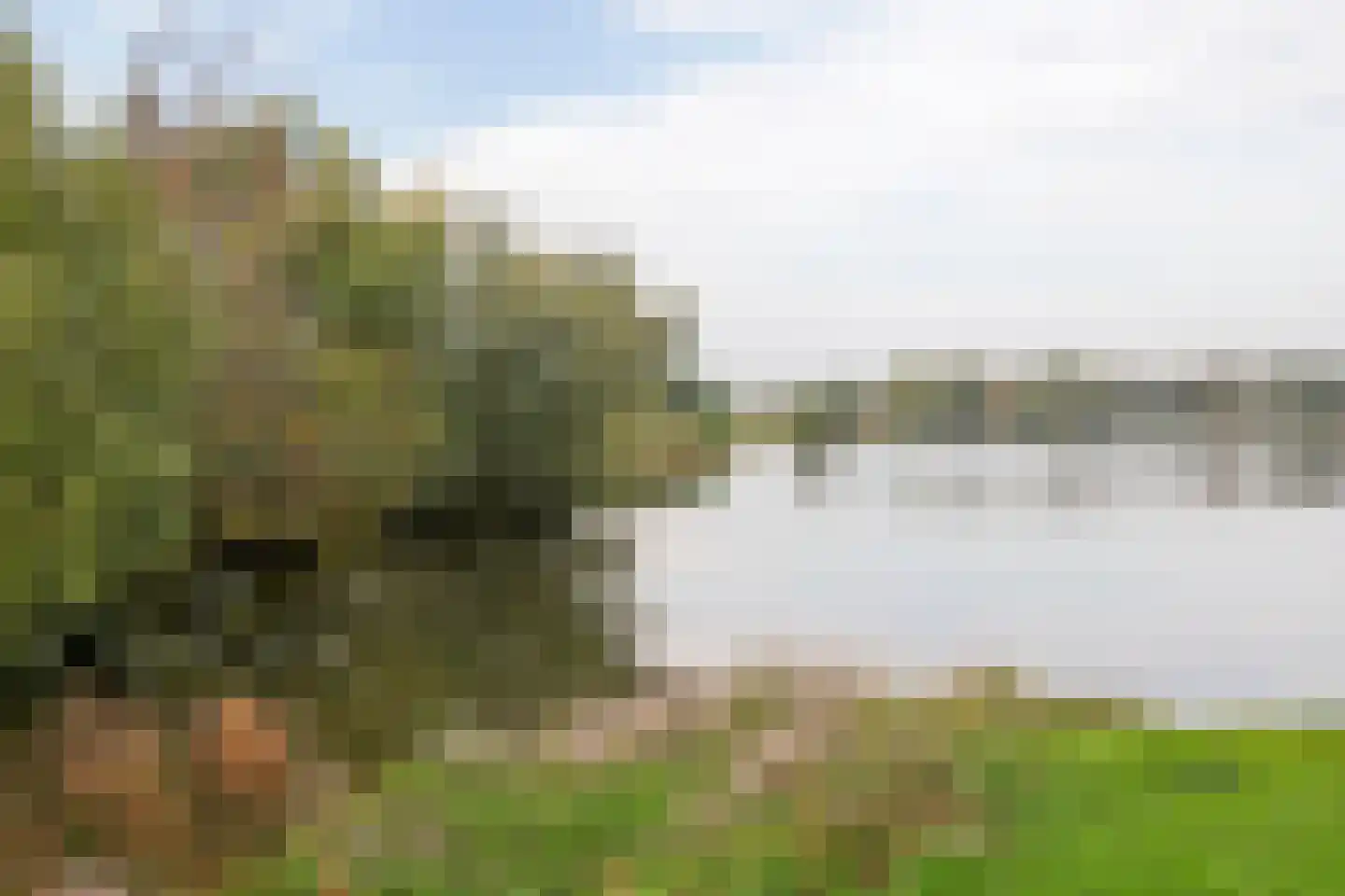 De Schutse 15 Hendrik-Ido-Ambacht thumbnail 43