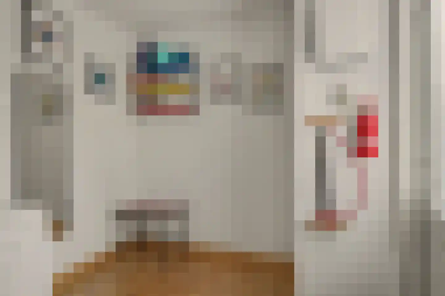 De Schutse 15 Hendrik-Ido-Ambacht thumbnail 9