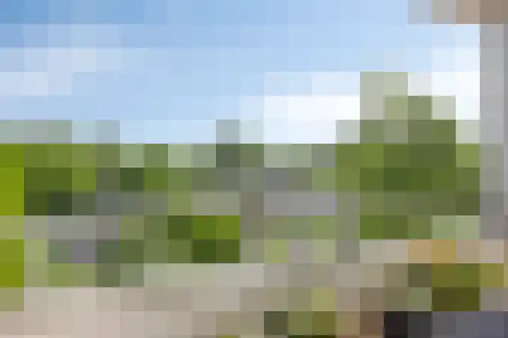 De Schutspatroon 39 Amersfoort thumbnail 21