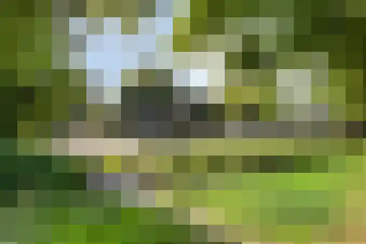 De Schutspatroon 39 Amersfoort thumbnail 27