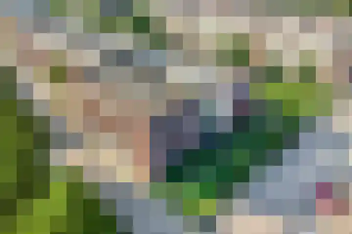 De Schutspatroon 39 Amersfoort thumbnail 29