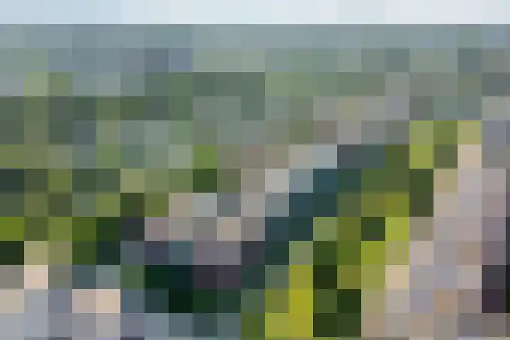 De Schutspatroon 39 Amersfoort thumbnail 30