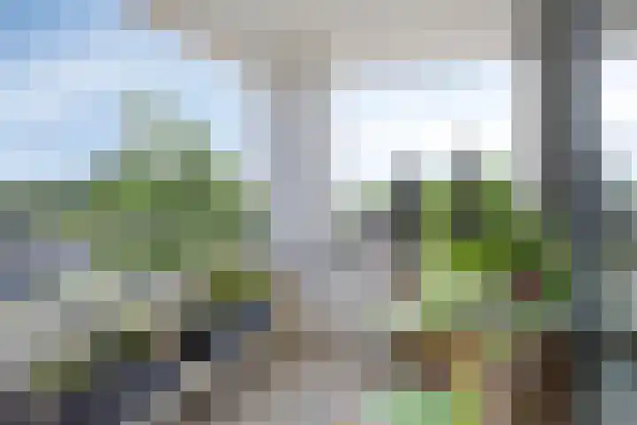 De Schutspatroon 39 Amersfoort thumbnail 4
