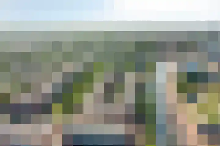 De Schutspatroon 39 Amersfoort thumbnail 5
