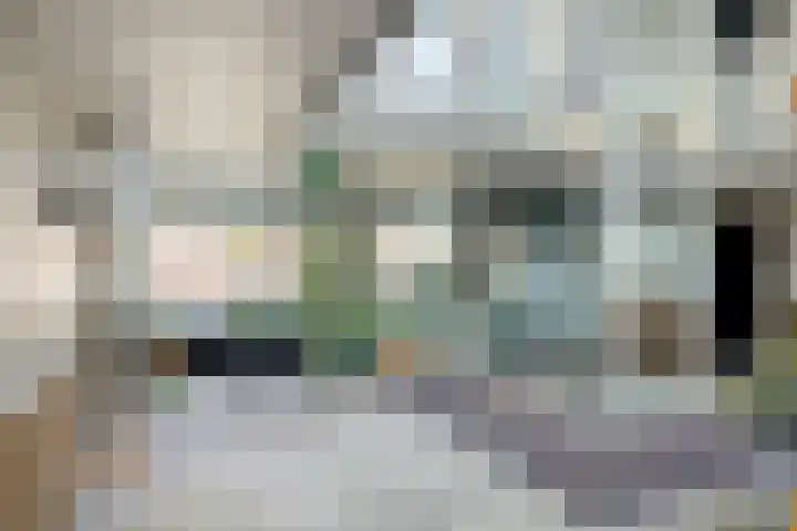 De Schutspatroon 39 Amersfoort thumbnail 8