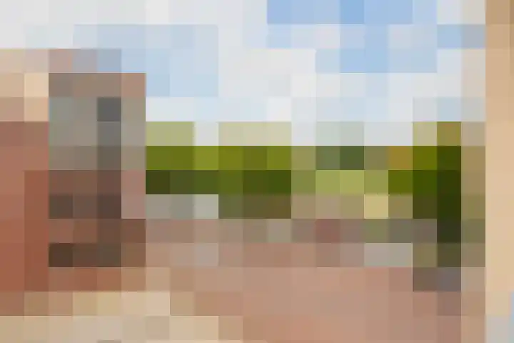 De Schutspatroon 44 Amersfoort thumbnail 13