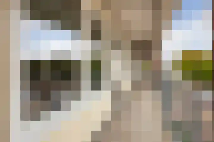 De Schutspatroon 44 Amersfoort thumbnail 25