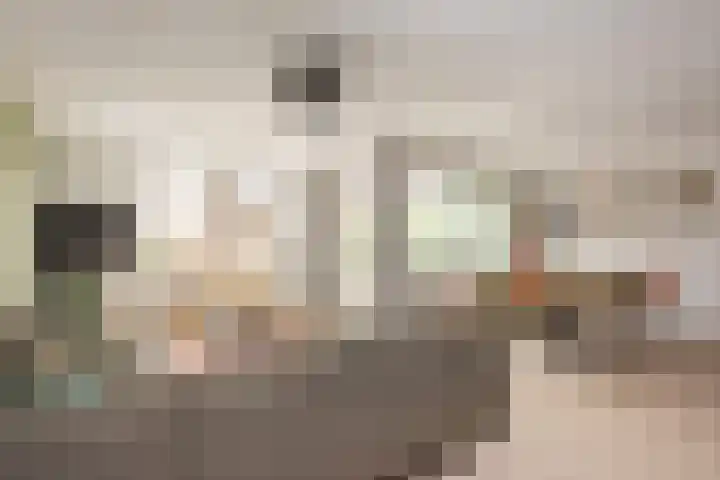 De Schutspatroon 44 Amersfoort thumbnail 7