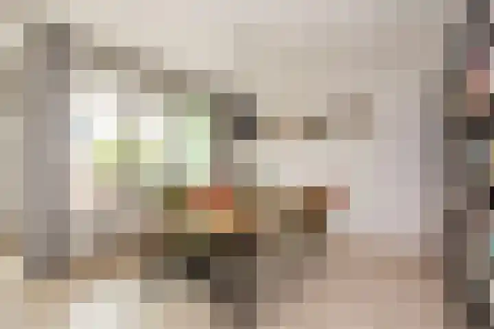 De Schutspatroon 44 Amersfoort thumbnail 8