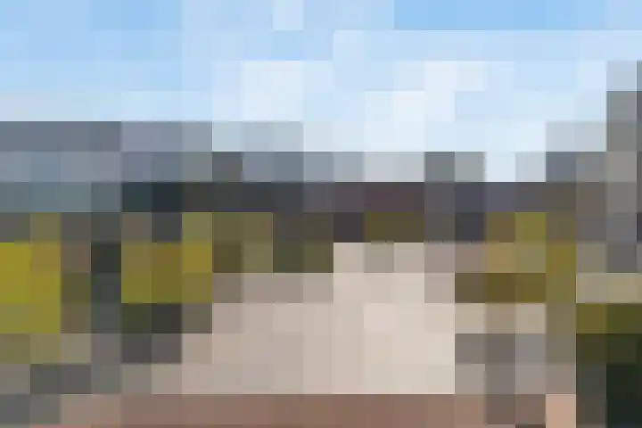 De Schutspatroon 46 Amersfoort thumbnail 32