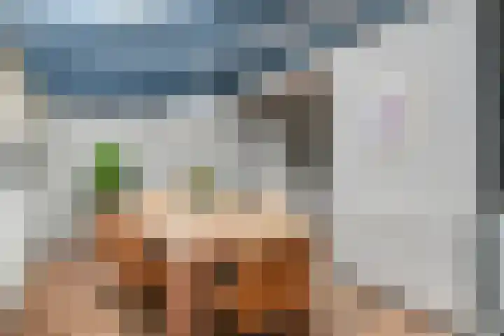 de Schutter 25 Oirschot thumbnail 15