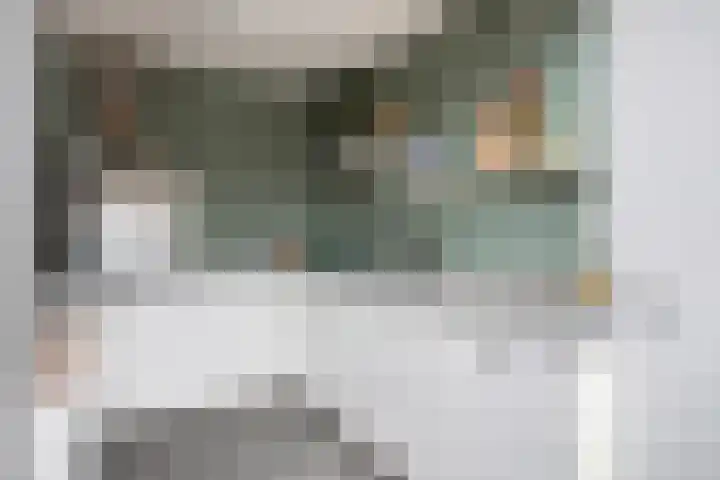 de Schutter 25 Oirschot thumbnail 18