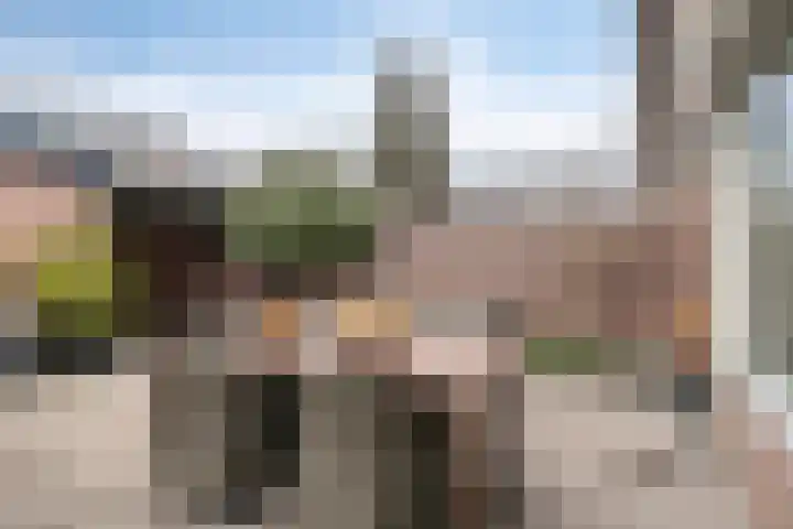 de Schutter 25 Oirschot thumbnail 38
