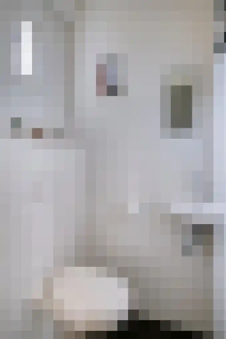 de Schutter 25 Oirschot thumbnail 9