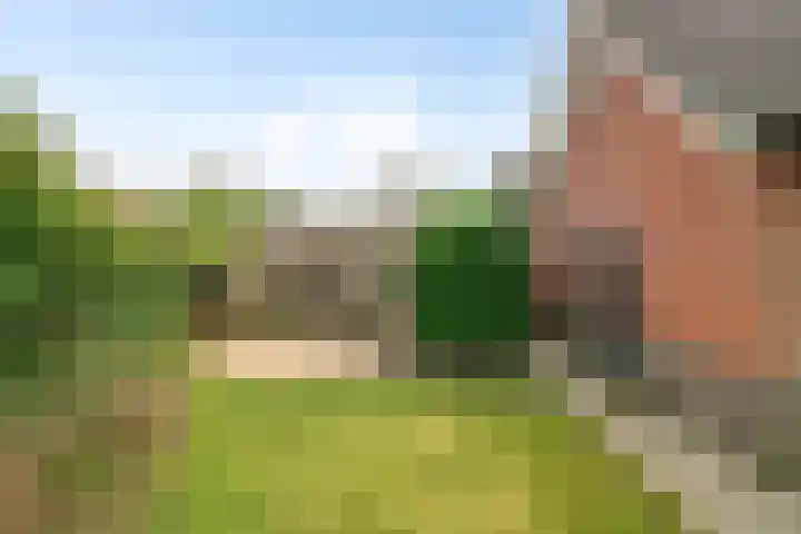 De Schutterij 4 Gorssel thumbnail 38