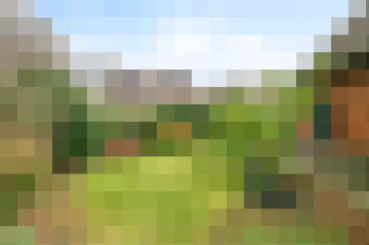De Schutterij 4 Gorssel thumbnail 5