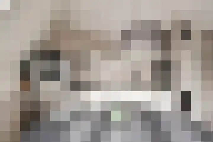 De Schutterije 72 Didam thumbnail 10
