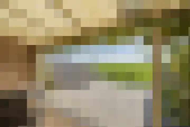 De Schutterije 72 Didam thumbnail 14