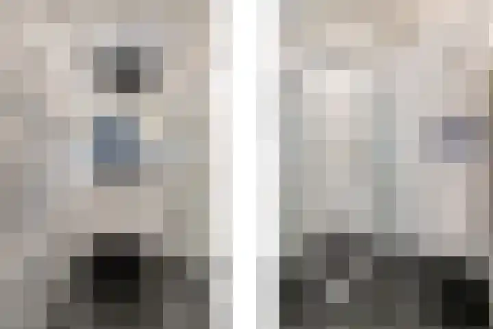 De Schutterije 72 Didam thumbnail 16