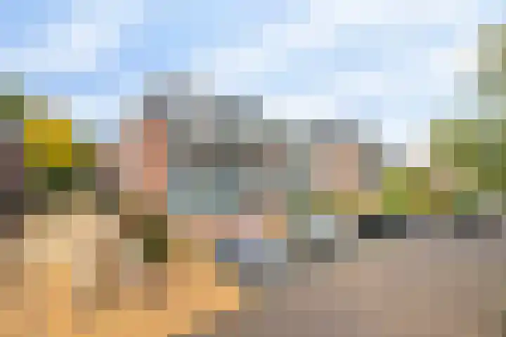 De Schutterije 72 Didam foto 2