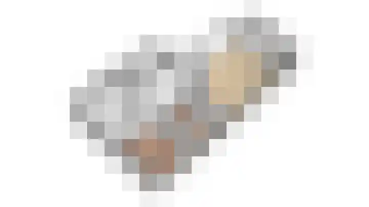 De Schutterije 72 Didam thumbnail 28