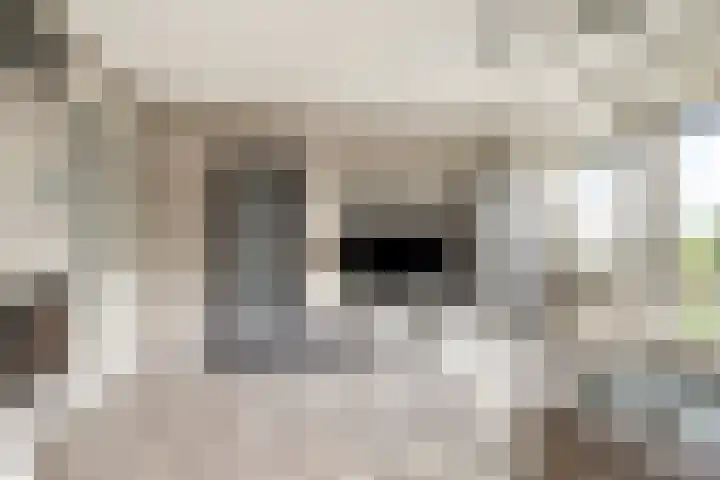 De Schutterije 72 Didam thumbnail 5