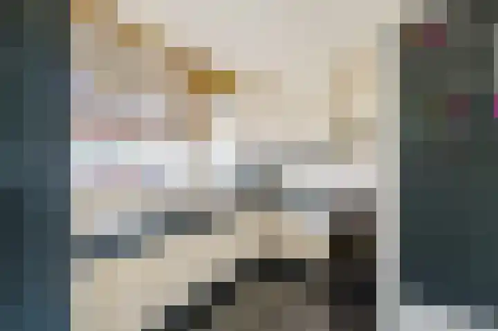 De Schutterije 72 Didam thumbnail 7