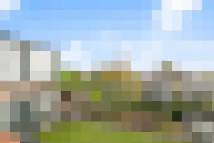 De Schutterije 72 Didam thumbnail 8