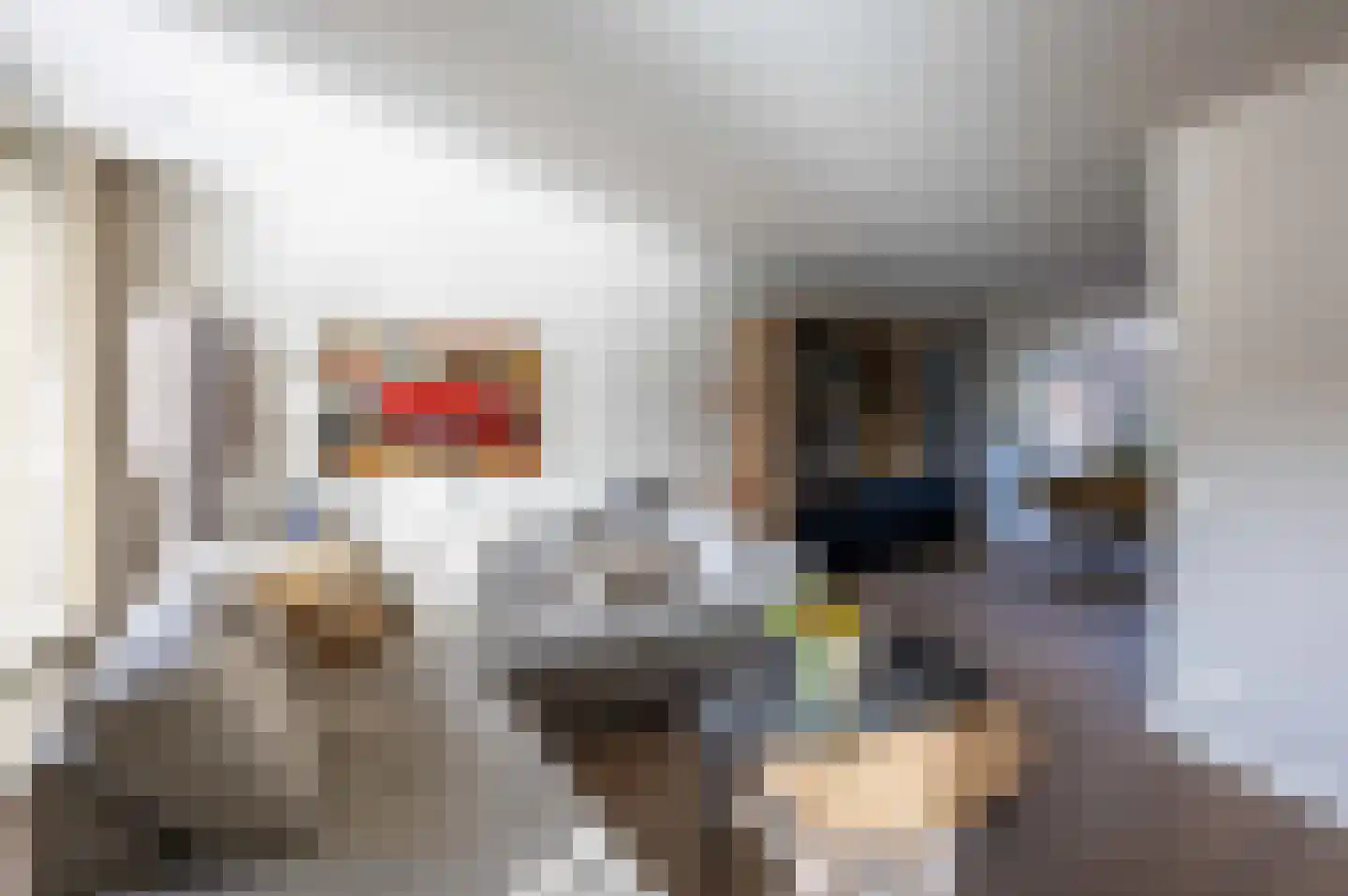 de Seilier 61 Venray thumbnail 12