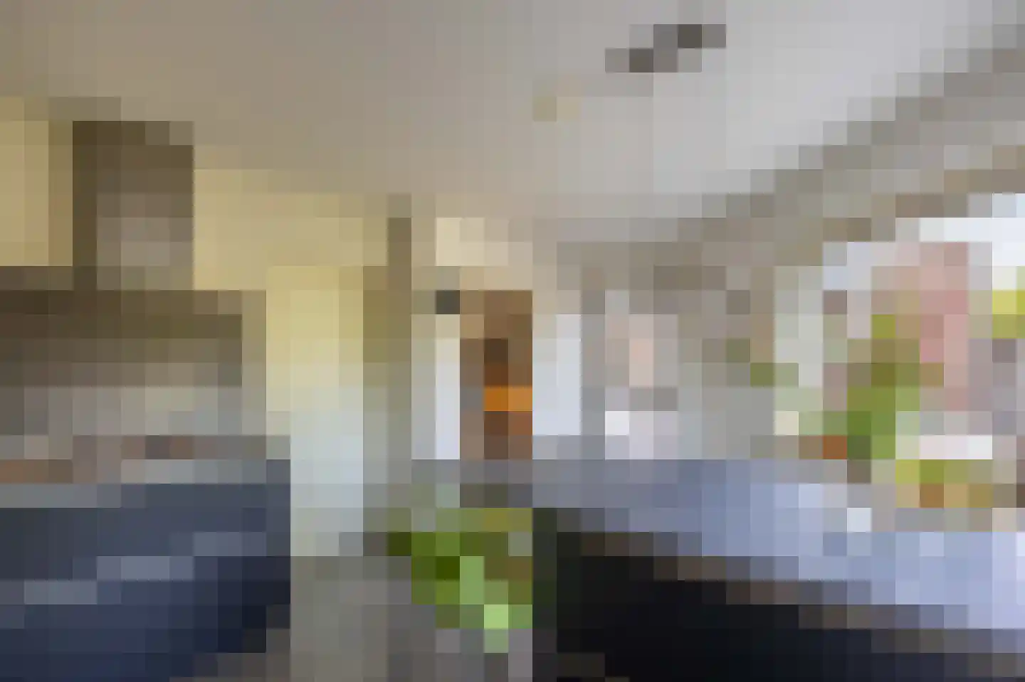 de Seilier 61 Venray thumbnail 17