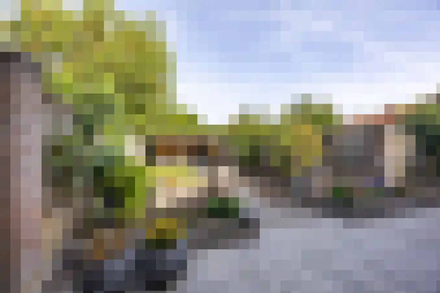 de Seilier 61 Venray thumbnail 32