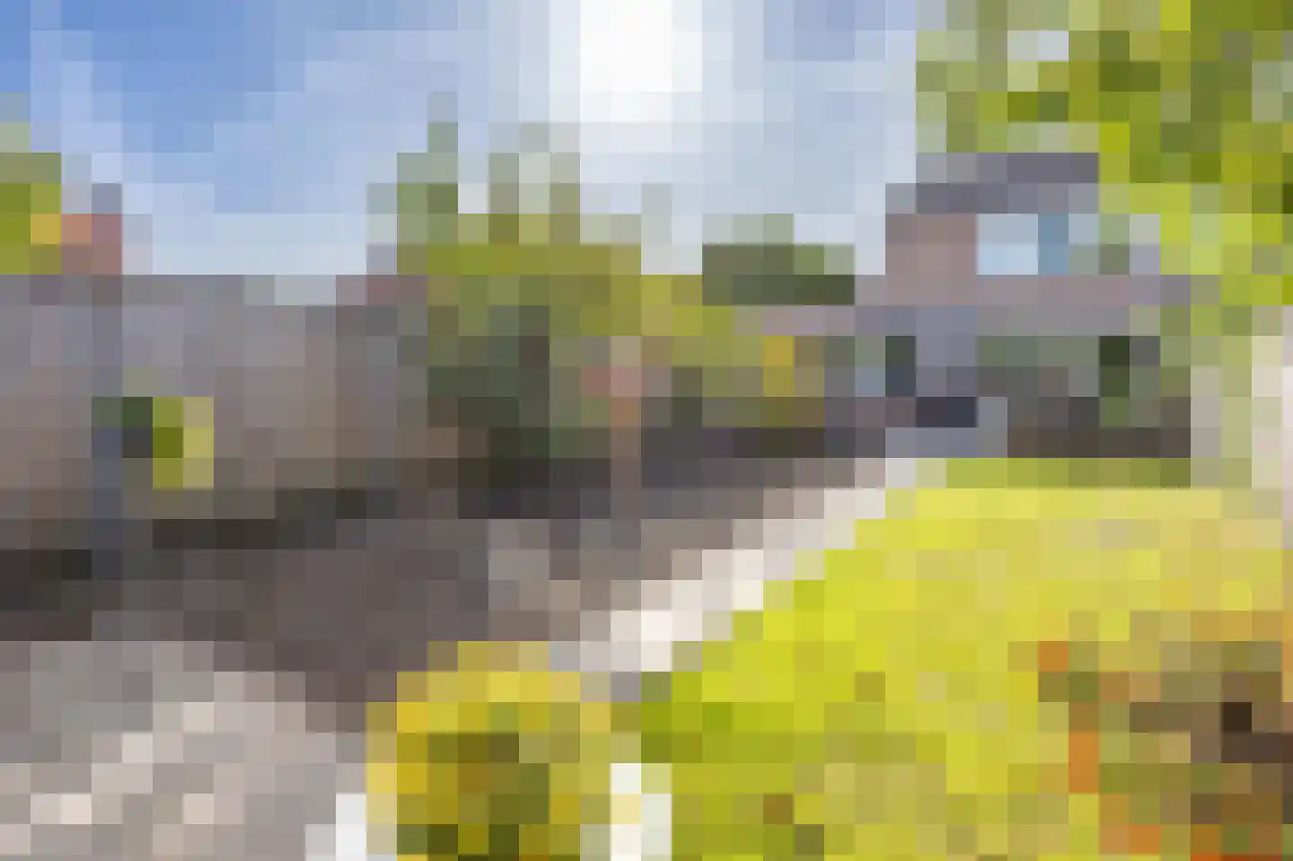 de Seilier 61 Venray thumbnail 4