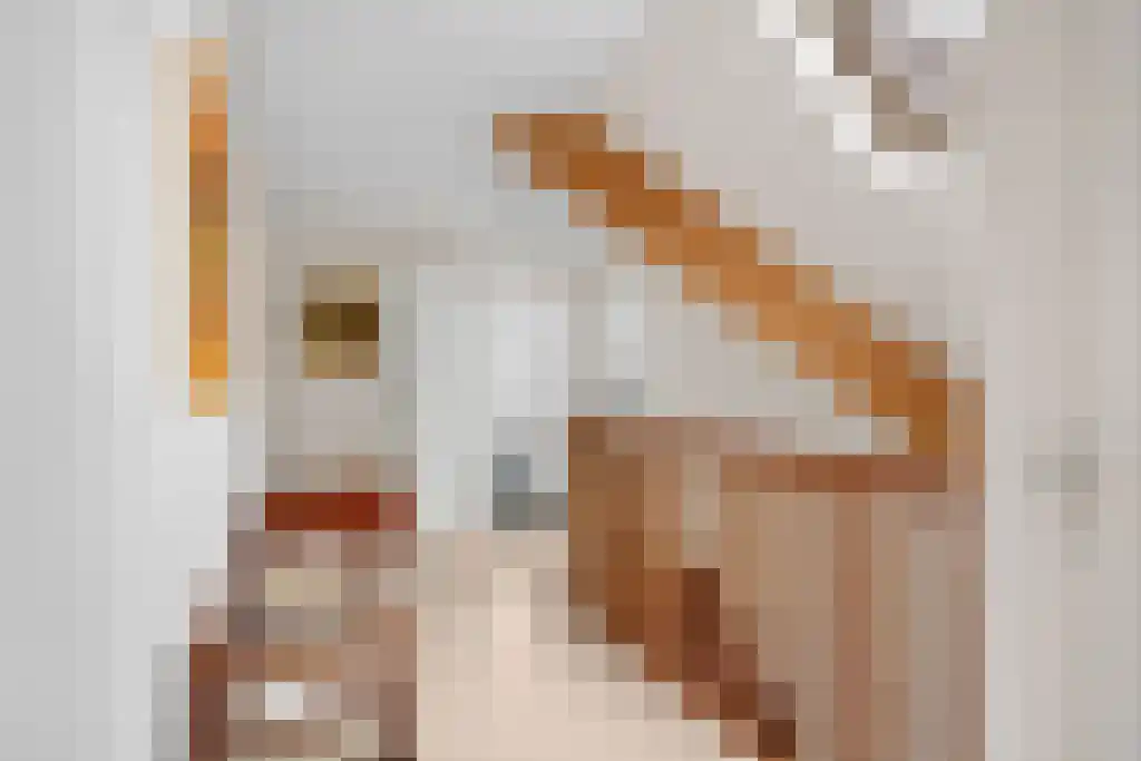 de Seine 4 Sneek thumbnail 17