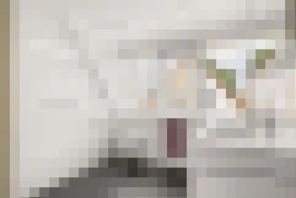 de Seine 4 Sneek thumbnail 18