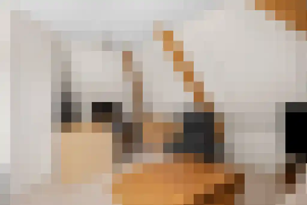 de Seine 4 Sneek thumbnail 27