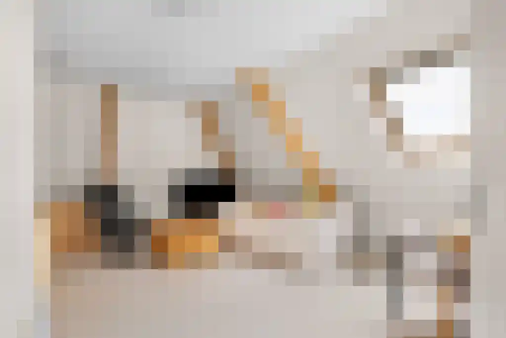 de Seine 4 Sneek thumbnail 28