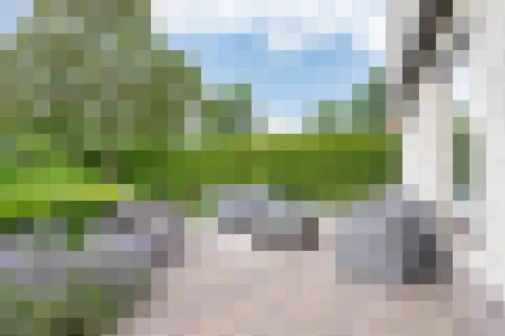 de Seine 4 Sneek thumbnail 34