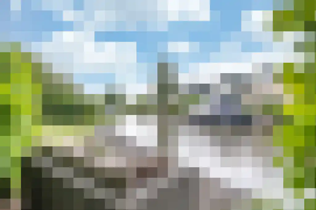 de Seine 4 Sneek thumbnail 37
