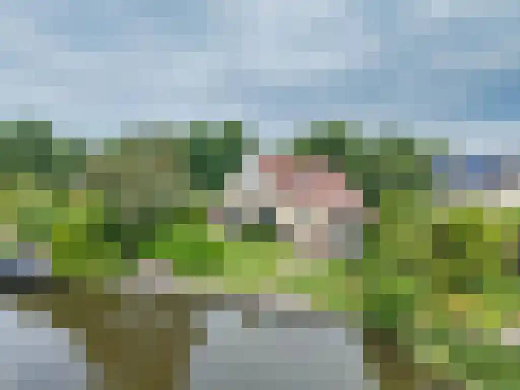 de Seine 4 Sneek thumbnail 38