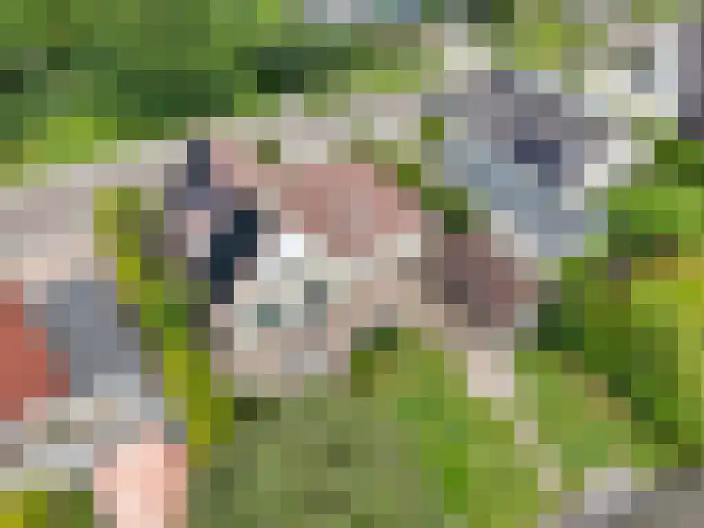 de Seine 4 Sneek thumbnail 40