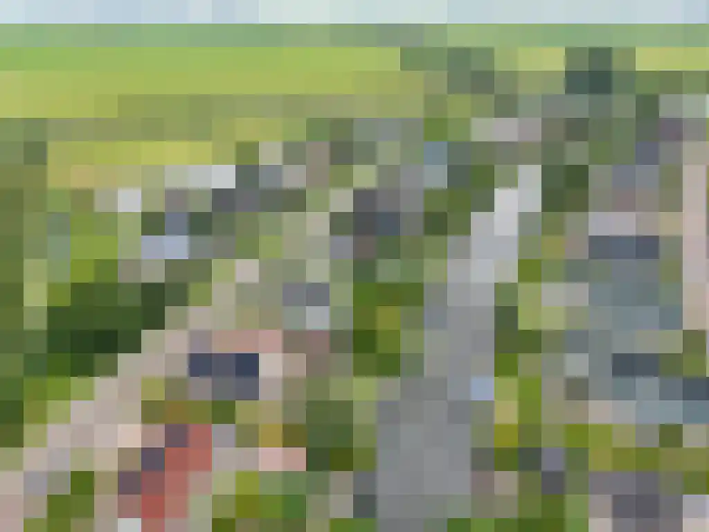 de Seine 4 Sneek thumbnail 42