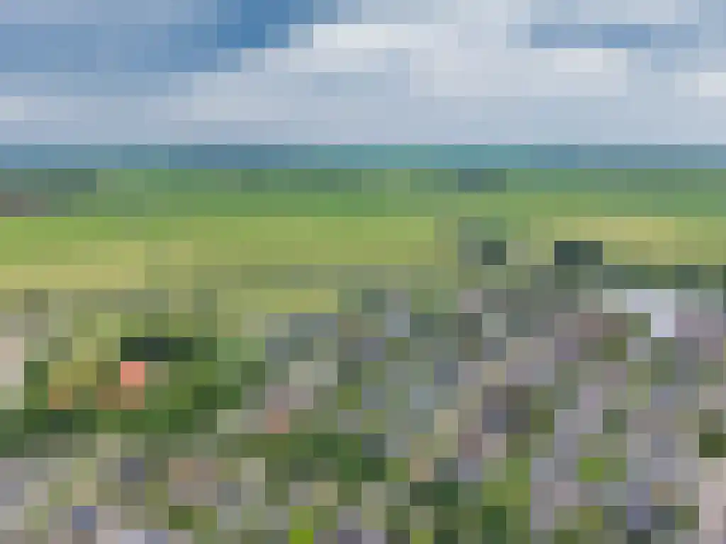 de Seine 4 Sneek thumbnail 43