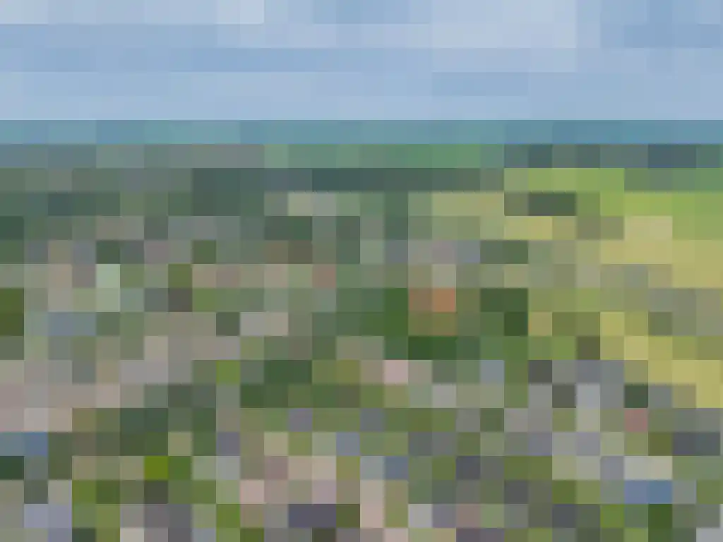 de Seine 4 Sneek thumbnail 44