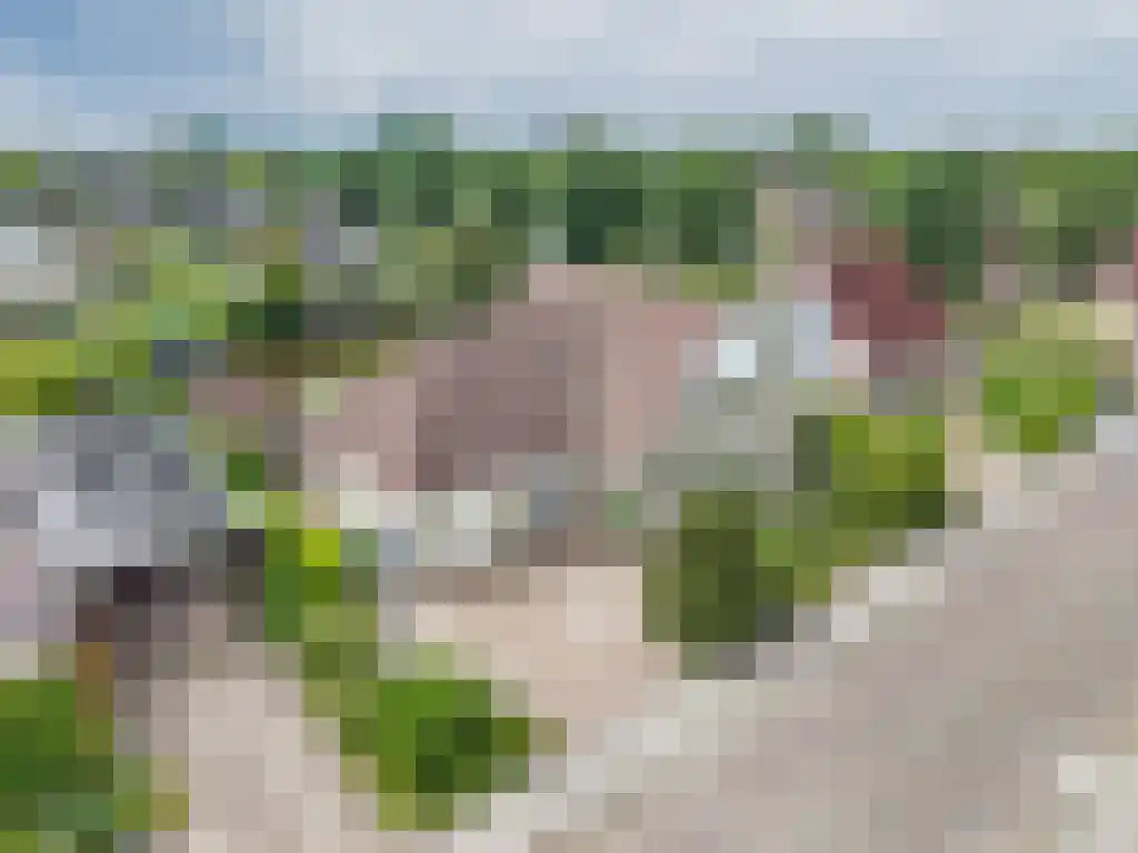 de Seine 4 Sneek thumbnail 48
