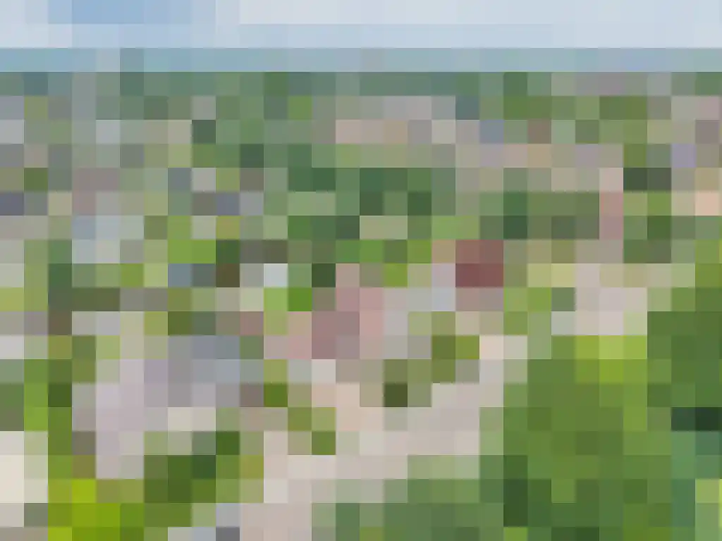 de Seine 4 Sneek thumbnail 49