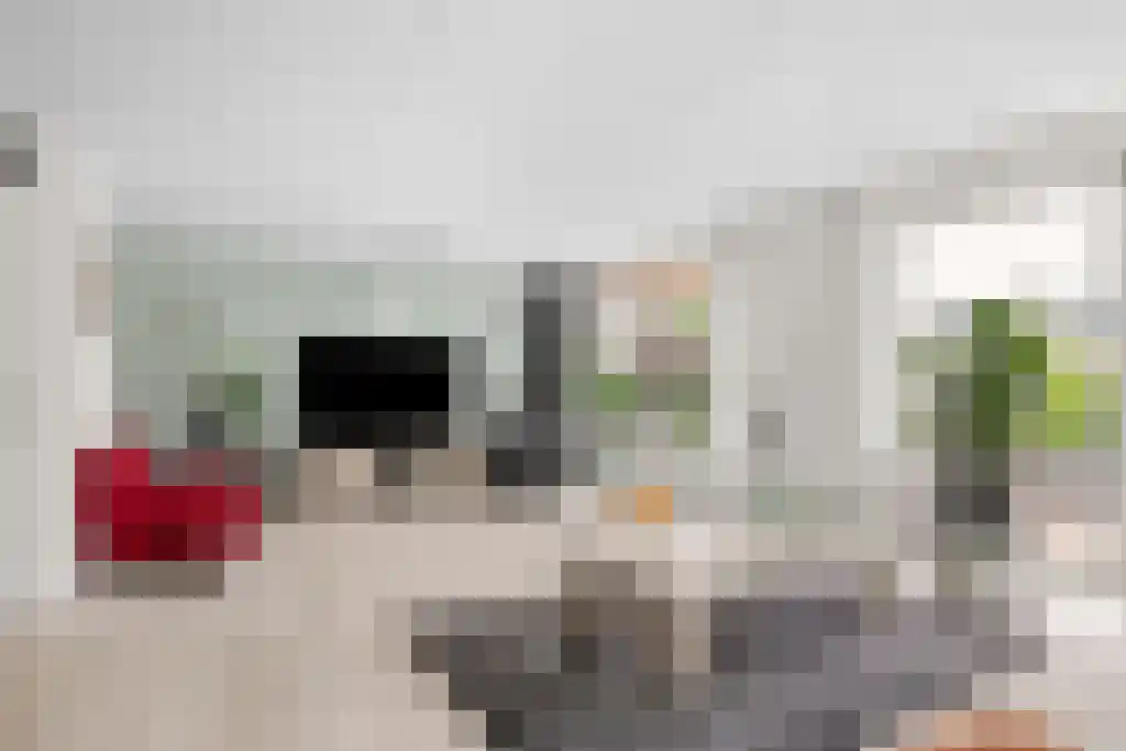 de Seine 4 Sneek thumbnail 5